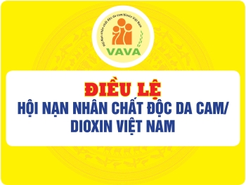 Điều lệ (sửa đổi, bổ sung) Hội Nạn nhân chất độc da cam/dioxin Việt Nam
