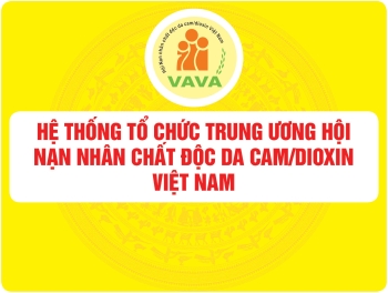 Organizational system of the Central Agency of Vietnam Association for Victims of Agent Orange/dioxin