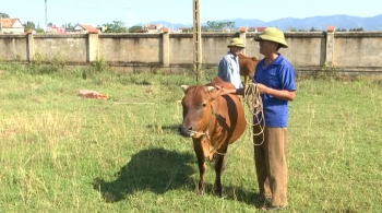 Video: Chương trình Hỗ trợ sinh kế cho nạn nhân chất độc da cam tỉnh Quảng Trị và Quảng Bình (năm 2019)